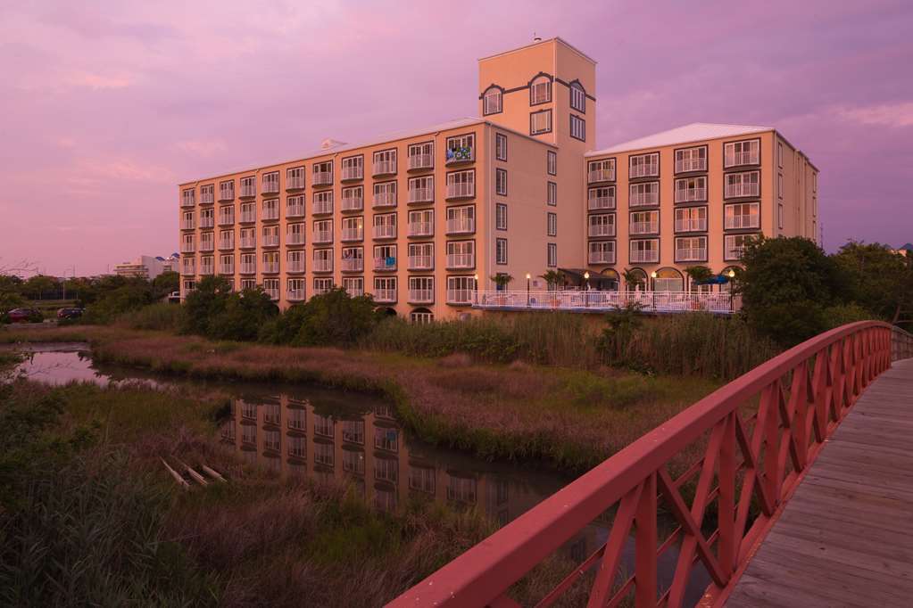 Coconut Malorie Resort Hotel, Ascend Hotel Collection Ocean City Eksteriør billede