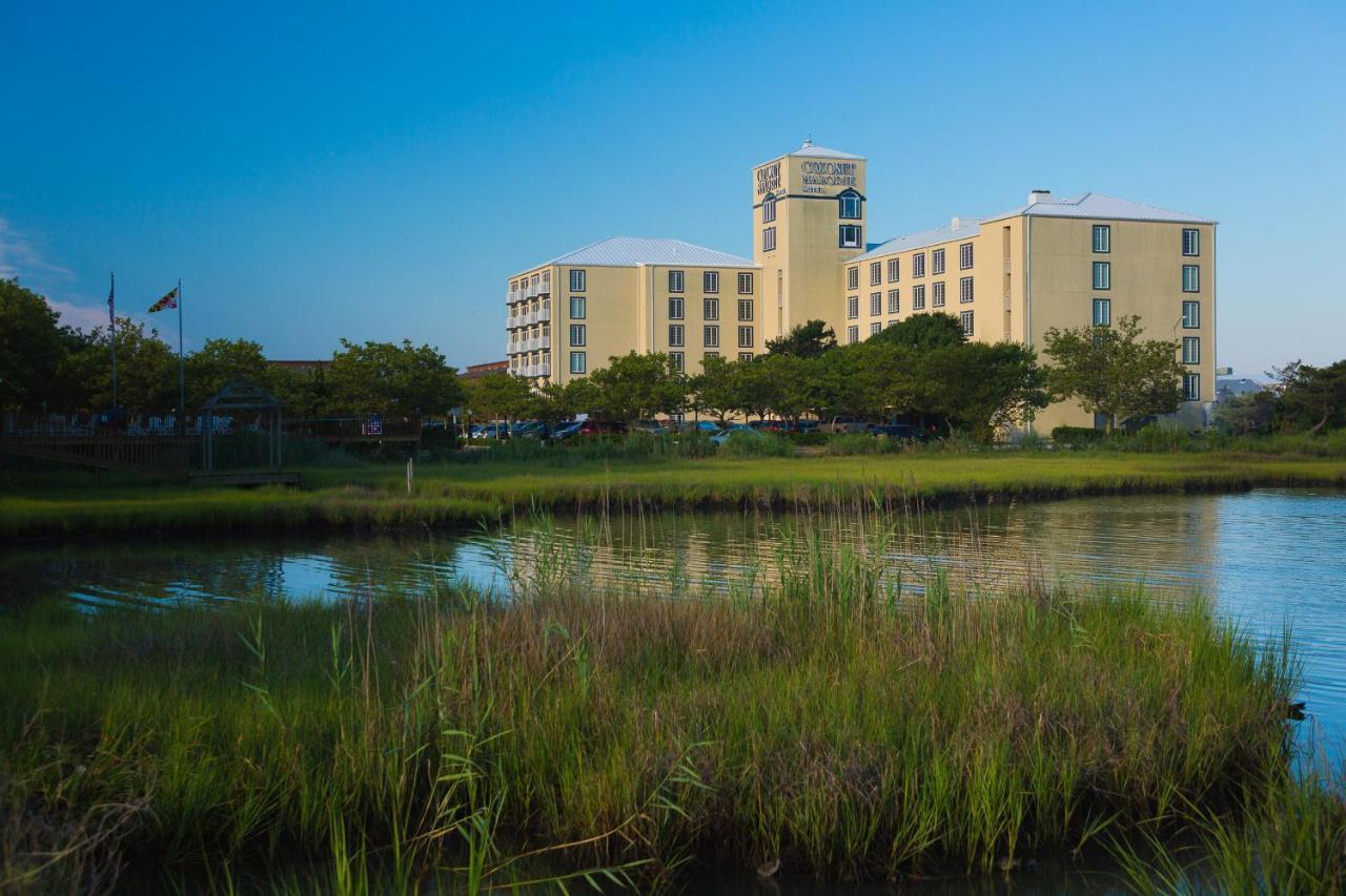 Coconut Malorie Resort Hotel, Ascend Hotel Collection Ocean City Eksteriør billede